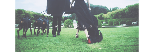 thingswithme-blog:  i could show you incredible things 