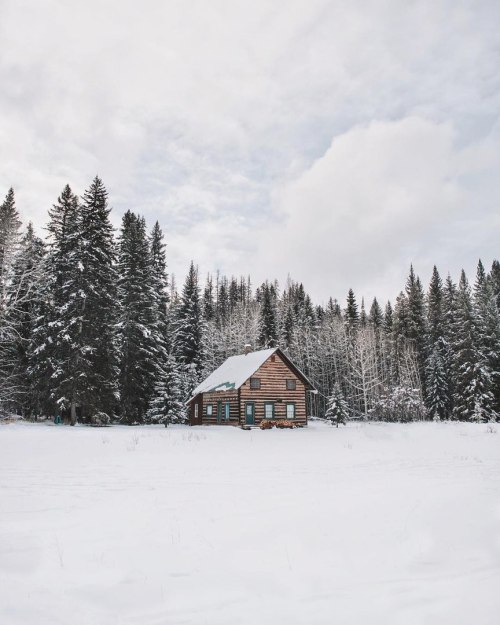 an-adventurers:  Polebridge Mercantile 