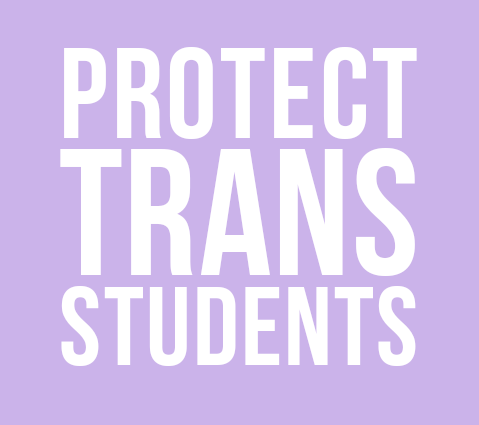 (Image description: white text on a lavender background says “protect trans students”.)