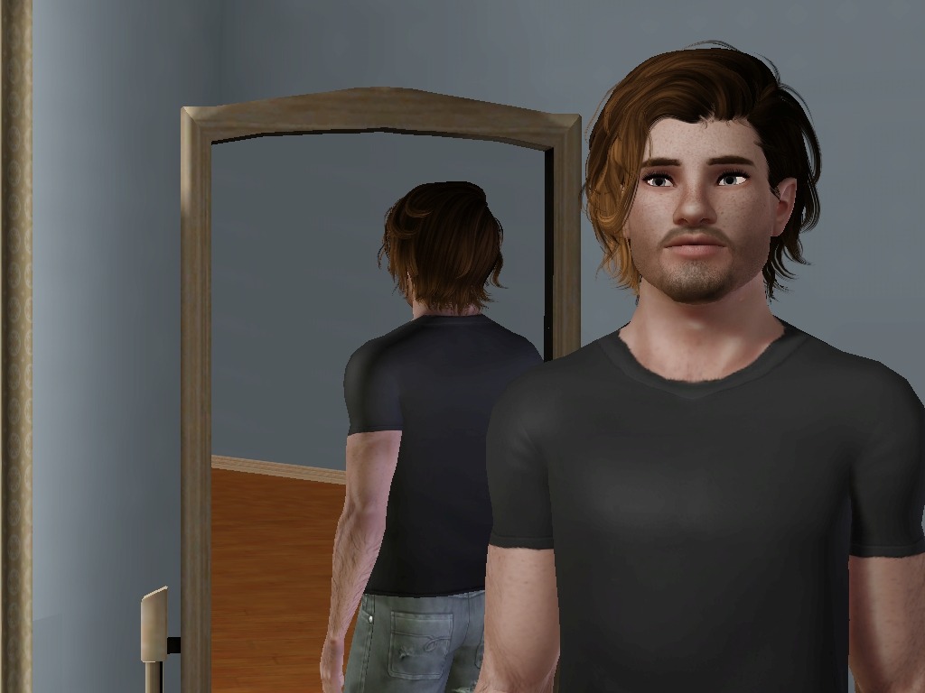 In case anyone wondered what Mitchell looks like as a living sim.