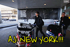 segawangcoffee-deactivated20150:  U-Kiss in New York: Expectation vs. Reality 