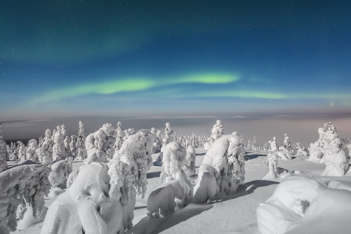 Winter wonderland. All pictures shot at Iso - Syöte, Finland. by Tiina Törmänen | web | FB | IG | ST