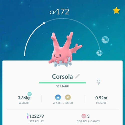 Squee! Finally caught a #Corsola and on #Montserrat! #pokemongo(at Little Bay, Montserrat)