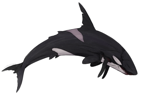 cappuccinoob: Some real life whales in the style of Dishonored Whales!  Humpback Whale  Narwhal  B