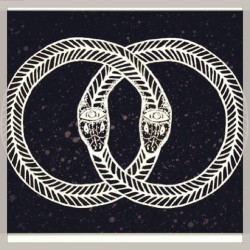 aintnuthingnice:  Ouroboros. All is one.