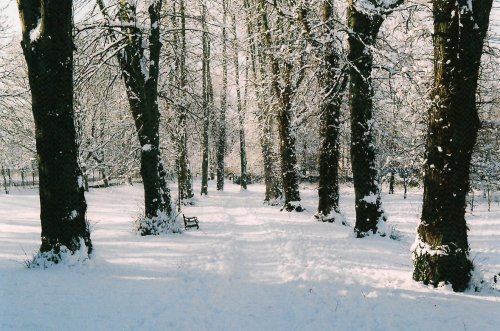 infinite-night-in-winter:  englishsnow:   Holly Kimberley Cooper  first pic, omg<3