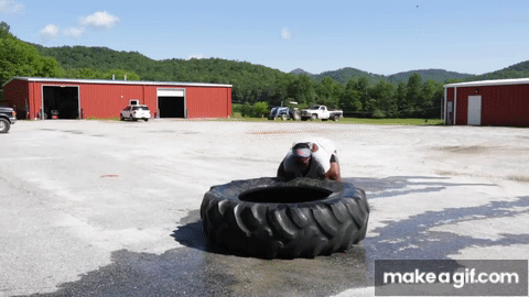 chattonuwu96: chokit-pyrus:  I saw this one post ages ago where someone said that video games can’t have plus-size characters, because “how could they do cool action?” I can’t find the post, but it inspired me to show you guys some gifs of real
