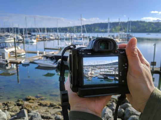 XXX The Best Mirrorless Cameras for Travel and photo