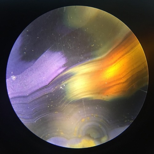 infinitetiny:Agate. For more microscopic content, follow me on IG @infinitetiny.