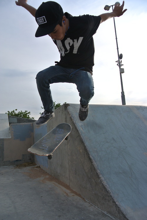 Photographs
