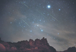 gravitationalbeauty:  Leonids Over Joshua