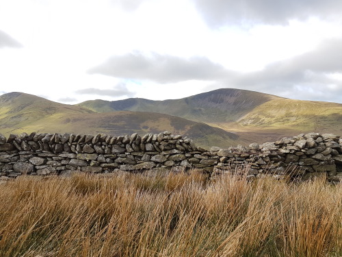 HERE ARE SOME PICTURES I TOOK OF WIDE-OPEN SPACES IN SCOTLAND AND WALES TO HELP YOU GET THROUGH QUAR