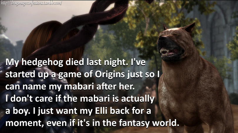 dragonageconfessions:  CONFESSION: My hedgehog died last night. I’ve started up