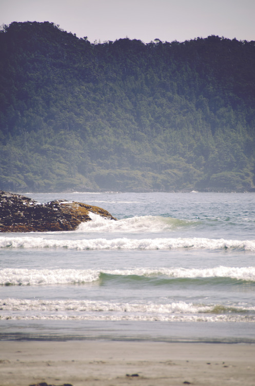 deeplovephotography:  flickr | facebook | society6