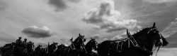 &ldquo;When You Say Bud!&rdquo; 2014 Iowa State Fair-jerrysEYES