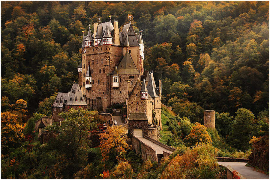 woodendreams:  (by Uwe Müller)