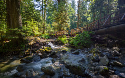 itakephotosofallthethings:  Light The Way Deception Falls, WA