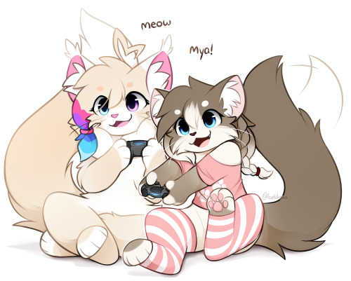 Two (2) Ragdoll Kitty Gamers!