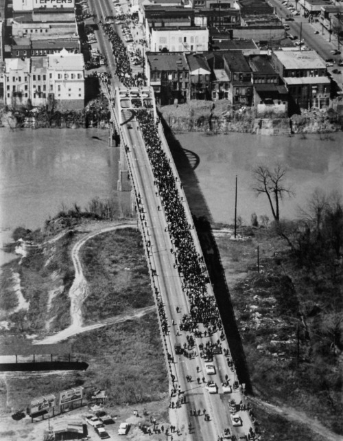 XXX textbookxdotcom:  Selma 50 years later. “Because photo