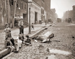 Playing children near dead horse, New York,