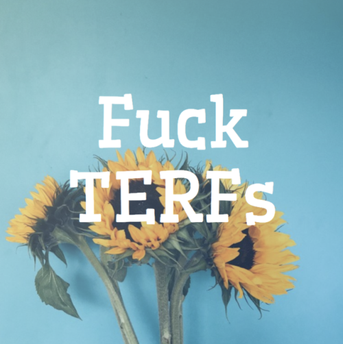 tea-and-antlers:Moodboard: FUCK! TERFs! 