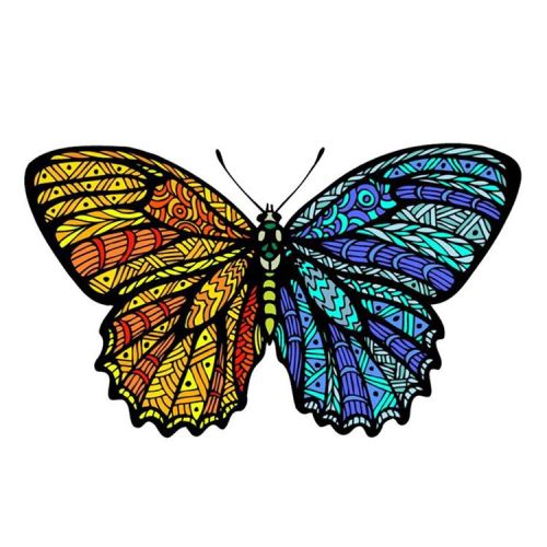Fire &amp; Ice #colors #adultcoloring #butterfly #coloringapp