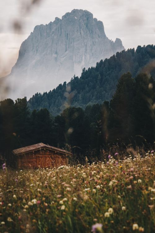 expressions-of-nature:South Tyrol, Italy by Guillaume Briard
