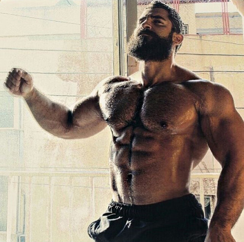 wrestlehead:  Doumit Ghanem  Mounds of muscles and an awesome hairy chest - Woof