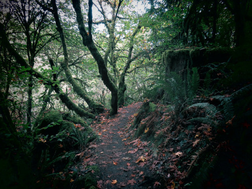 90377:  untitled by Xobel on Flickr. 