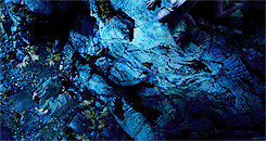 elijahwood:lotr meme: three films [2/3] → The Lord of the Rings: The Two Towers“It’s like in the gre
