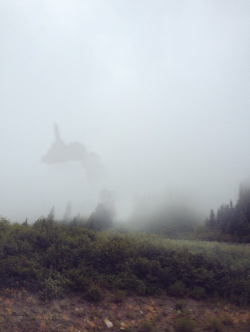 erikaschnellert:  Monsters in the fog 