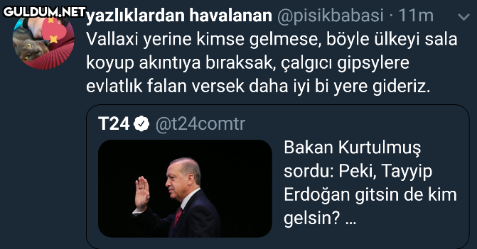 yazlıklardan havalanan...