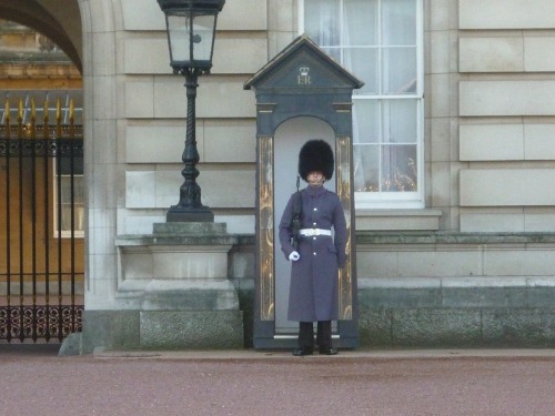 Guardia Buckingham Palace