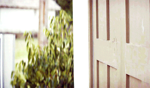 losthavenmine: Midnight Mass - Book V: Gospel