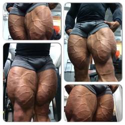 drwannabe:  Carlito’s quads 