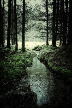 ponderation:Scotland by Julian Calverly