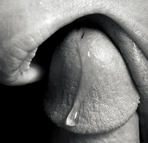 gentle Dominant