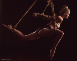 jesseflanagan: Claire in MyNawashi rope Rigging/photo by Jesse Flanagan (self) Instagram | Facebook | Full sets available on Findrow 