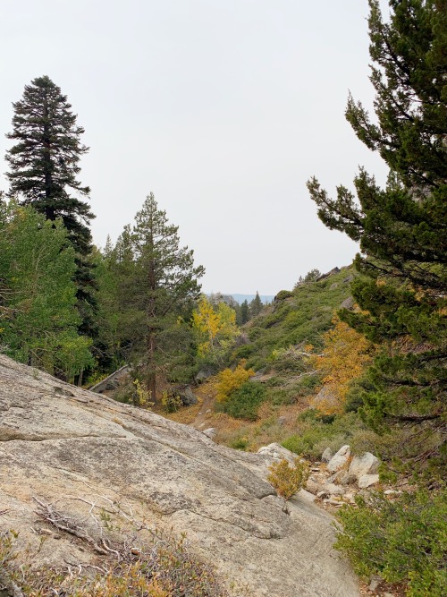 Autumn in the sierra nevadas is just spectacular. It happens much earlier than down in the foothills