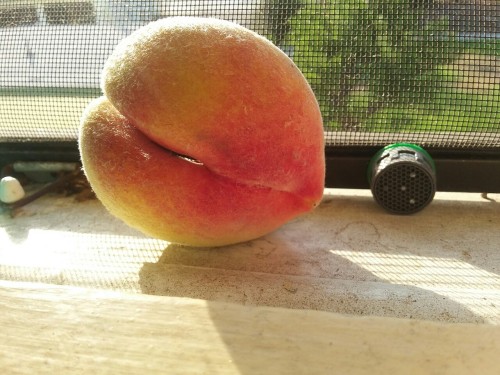 The Teaches of Peaches. . Setting sunlight is fun to shoot in