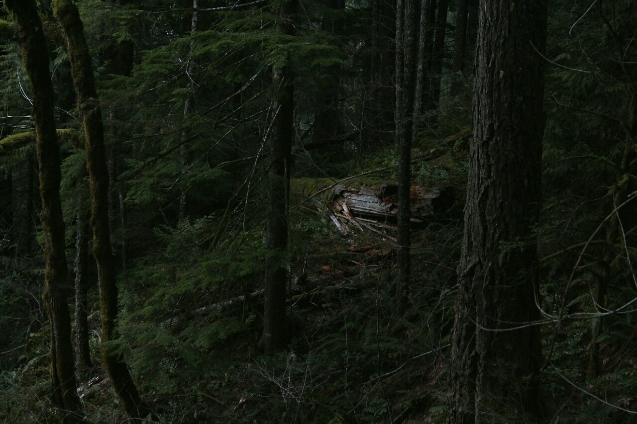 overnitereligion:  eagle creek/punchbowl falls, oregon