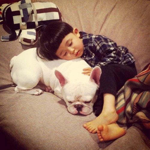 whothefuckischristophwaltz:  brain-food:  Tokyo, Japan-based mother Aya Sakai has been charting the adventures of her young son and his best friend, which just happens to be a French Bulldog. Ayasakai on Instagram and Facebook via [Reddit]  
