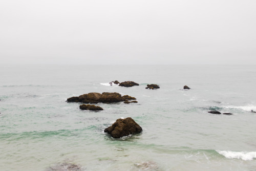 The 1,200 Mile Walk: Fort BraggPhotographed by Codi Ann Thomsen