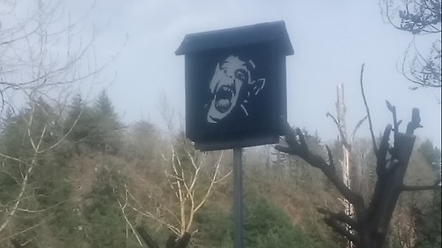 bogleech:someone a couple miles from us has a BAT BOY BAT BOX in their yard!?!??!?!?!!?!!!!!!