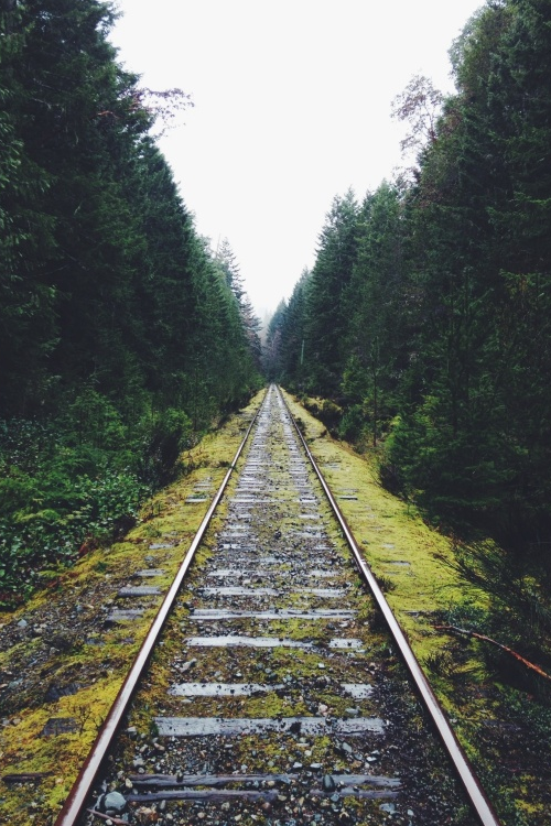 moody-nature:  Untitled | By Ben Giesbrecht