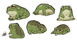 strangeauthor: thejohnsu: be a frog @pyonkotchi 