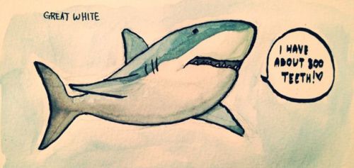 rambamboo:please love sharks