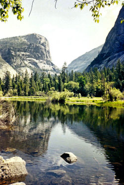 ladylandscape:  El capitan. Yosemite Park.
