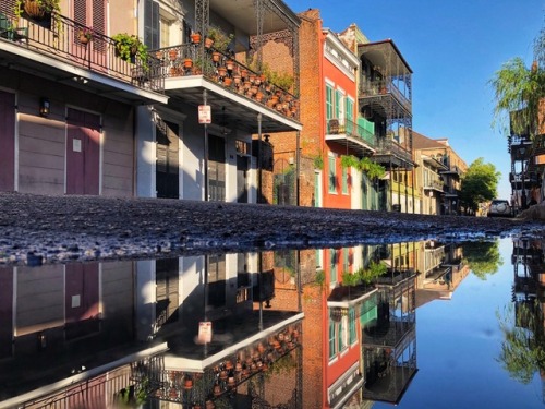 reflectnola:Dumaine Street