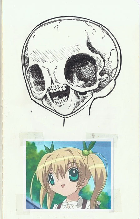 teamlunch:  I found this in an old sketchbook. I wanted to try and figure out how the skull of this anime person would look since her mouth is almost in line with where her eyes start. 